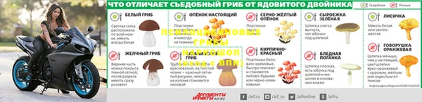 apvp Алексин