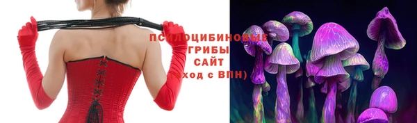 apvp Алексин
