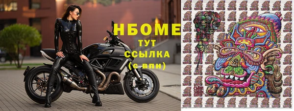 apvp Алексин